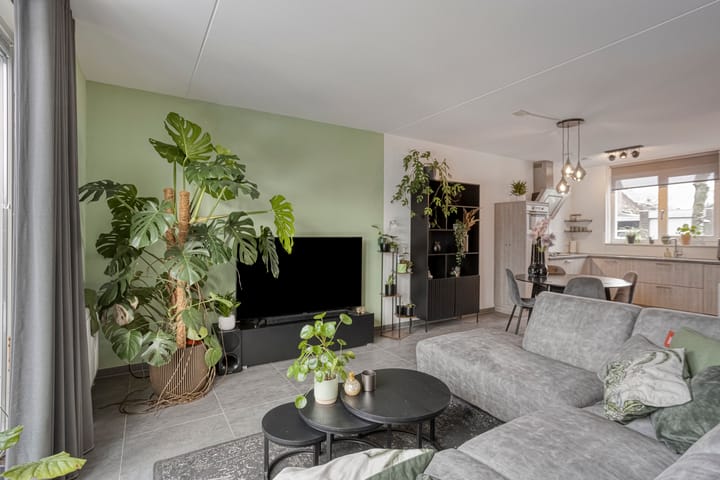 Foto 9 van Asperge 20