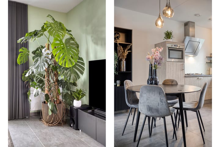 Foto 12 van Asperge 20