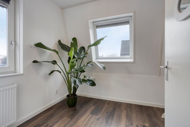 Foto 19 van Asperge 20