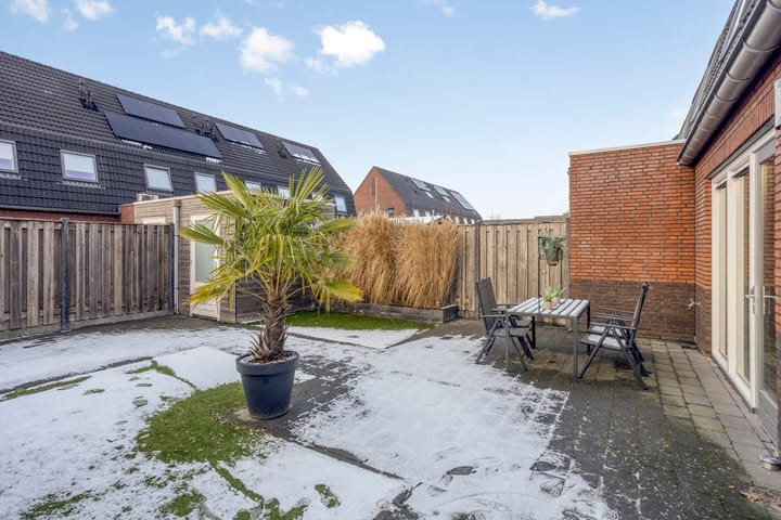 Foto 24 van Asperge 20