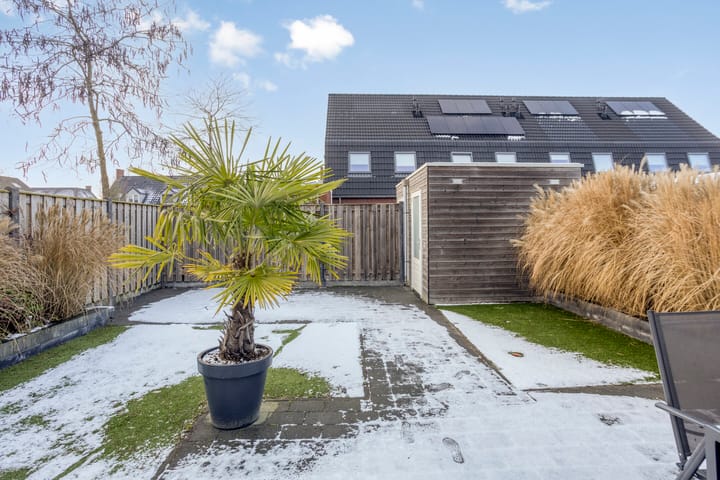 Foto 25 van Asperge 20