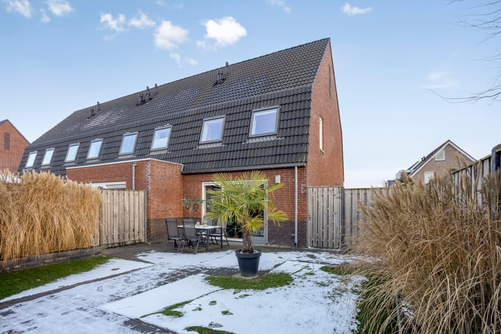 Foto 27 van Asperge 20