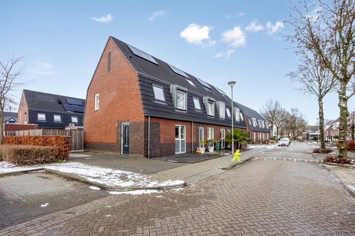 Foto 28 van Asperge 20