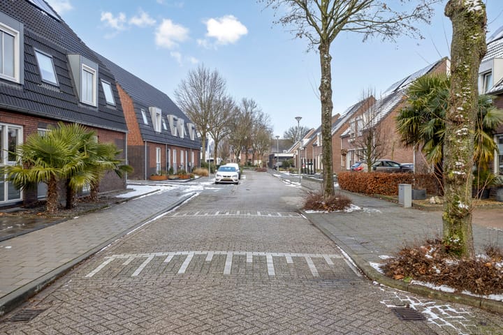 Foto 31 van Asperge 20