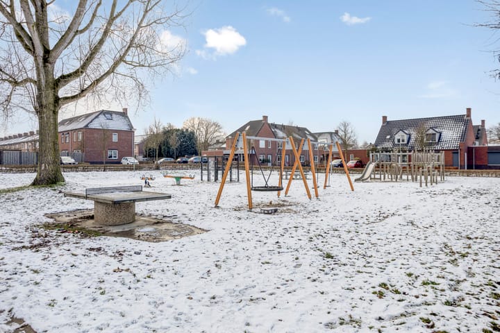 Foto 32 van Asperge 20