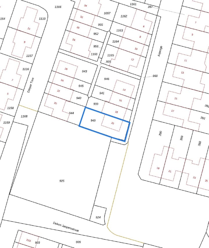 Foto 37 van Asperge 20