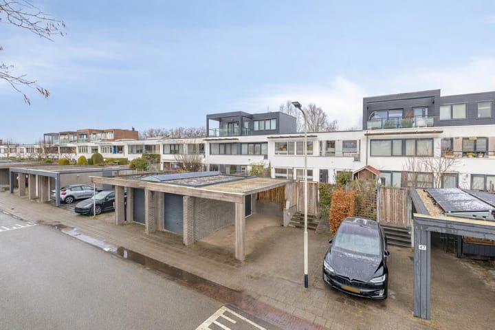 Foto 30 van Blauwtjes 45