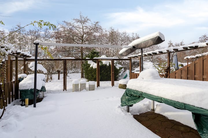 Foto 10 van Drususlaan 49