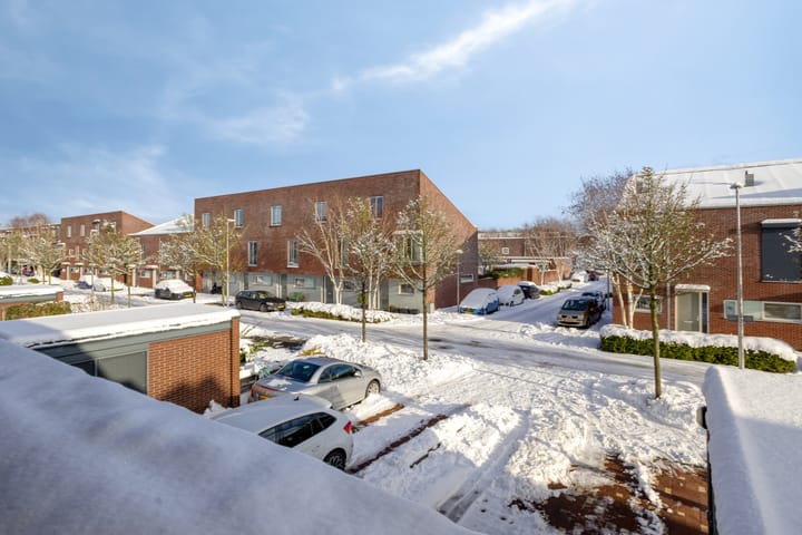 Foto 34 van Drususlaan 49