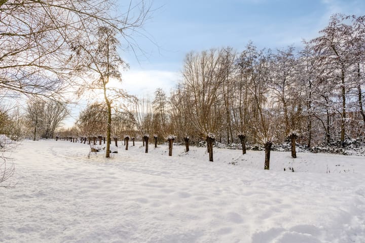 Foto 37 van Drususlaan 49