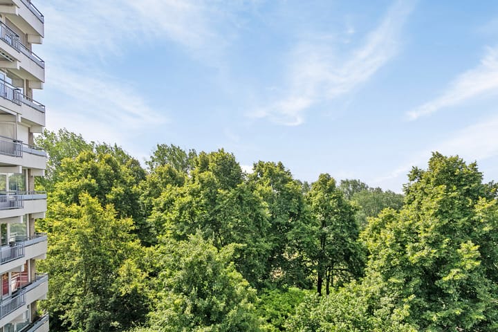 Foto 30 van Valkestein 623