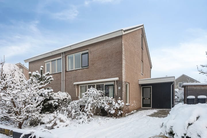 Foto 5 van Lavendelstrook 9