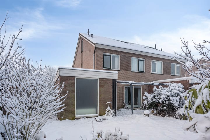 Foto 31 van Lavendelstrook 9