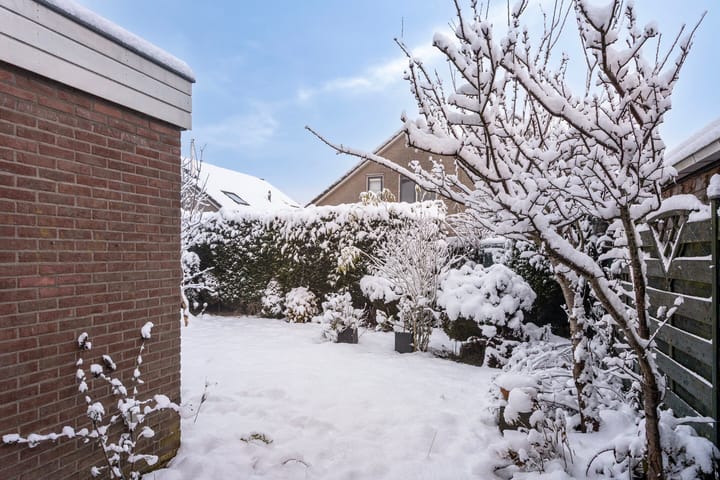 Foto 32 van Lavendelstrook 9