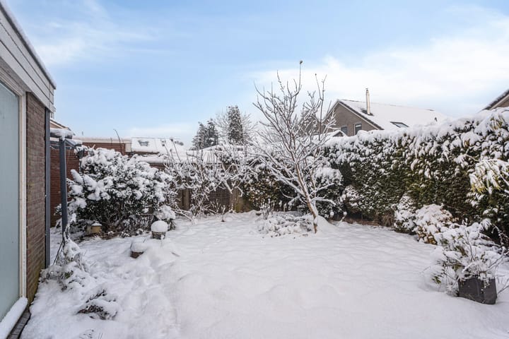 Foto 33 van Lavendelstrook 9