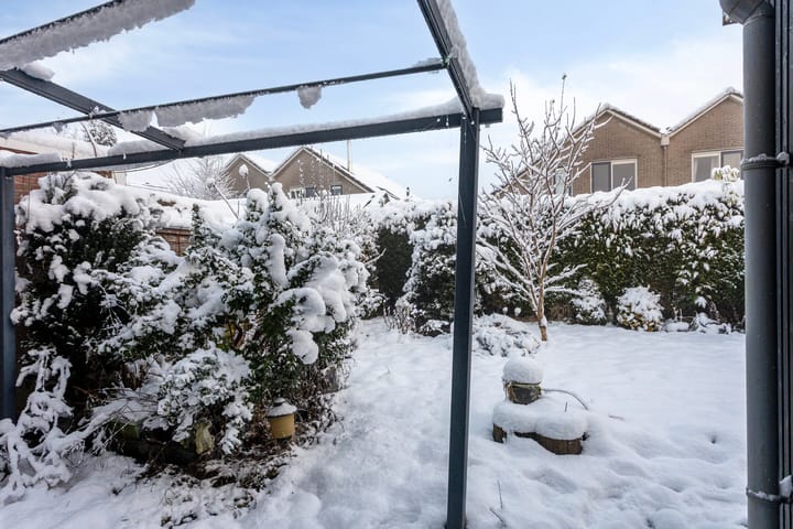 Foto 34 van Lavendelstrook 9