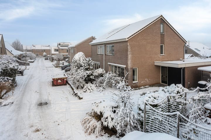 Foto 36 van Lavendelstrook 9