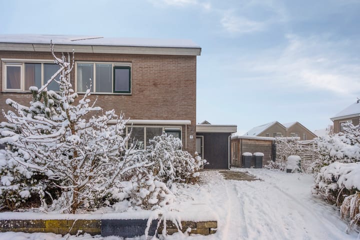 Foto 37 van Lavendelstrook 9