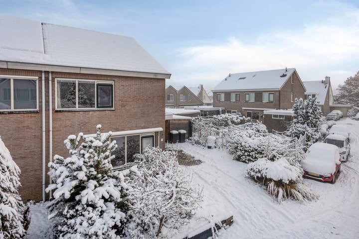 Foto 38 van Lavendelstrook 9