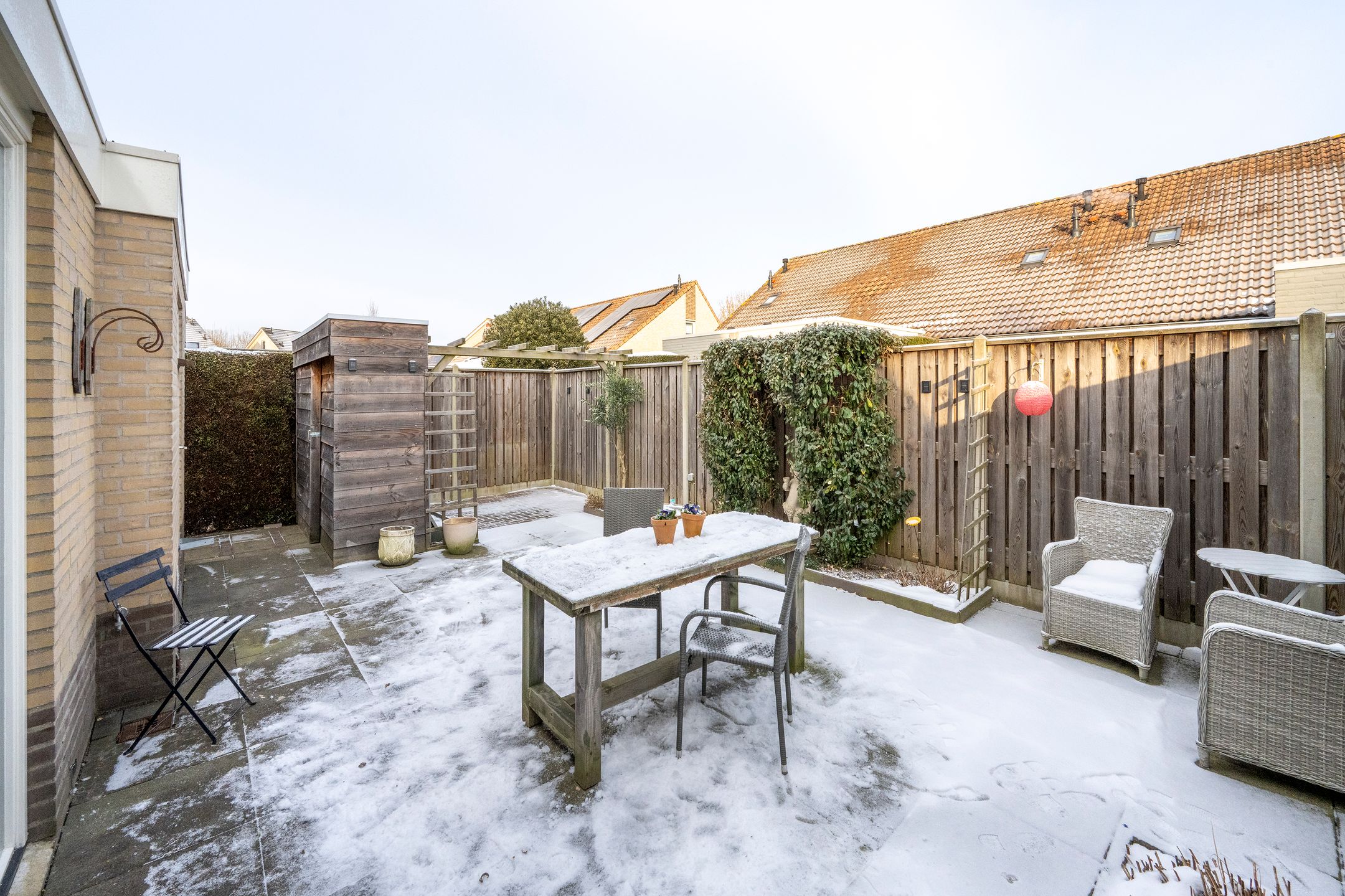 Photo 30 of Sleutelbloem 4