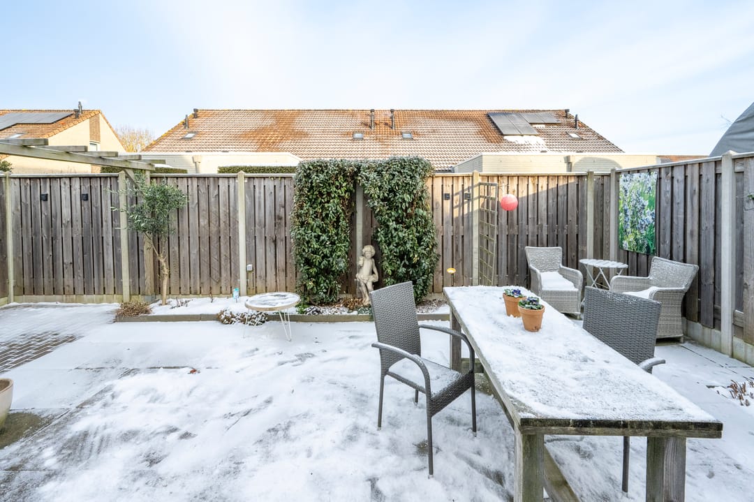 Photo 31 of Sleutelbloem 4