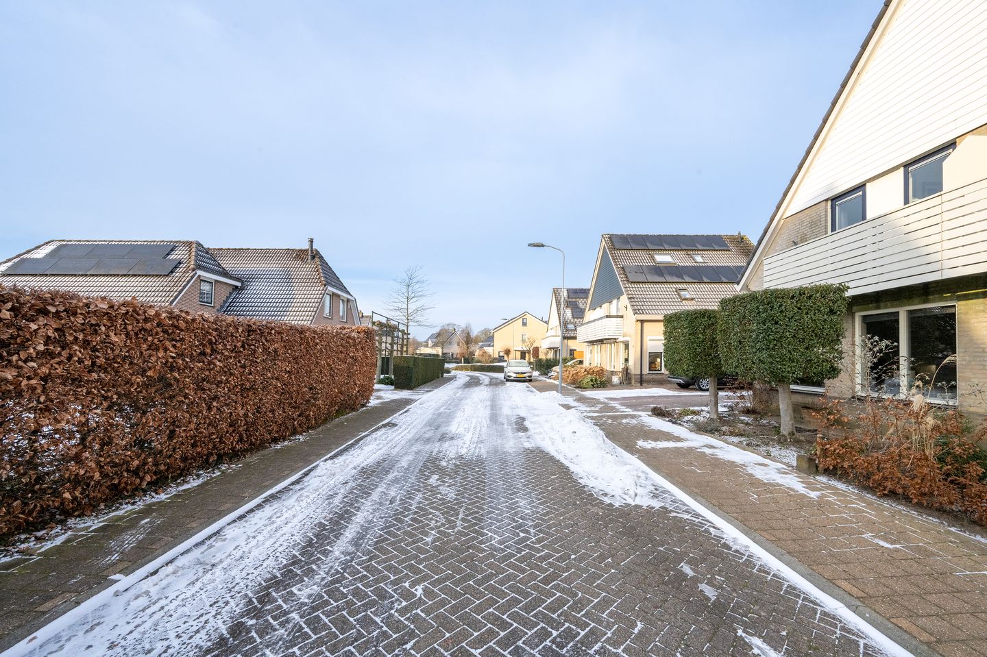 Photo 35 of Sleutelbloem 4