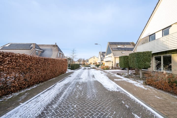 Foto 35 van Sleutelbloem 4