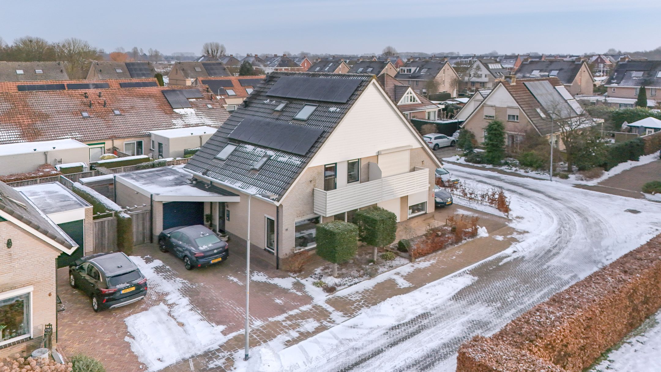 Photo 36 of Sleutelbloem 4