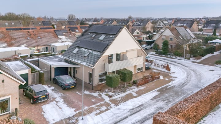 Foto 36 van Sleutelbloem 4