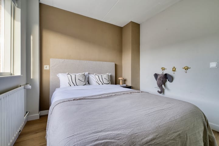 Foto 21 van Kruiser 50