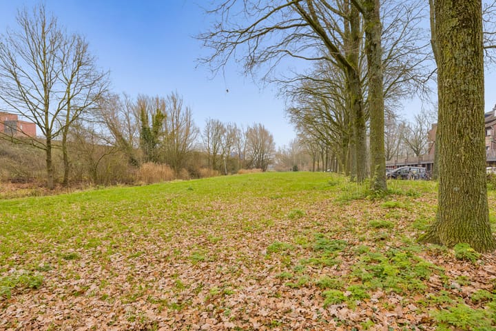 Foto 39 van Albert van Dalsumlaan 557