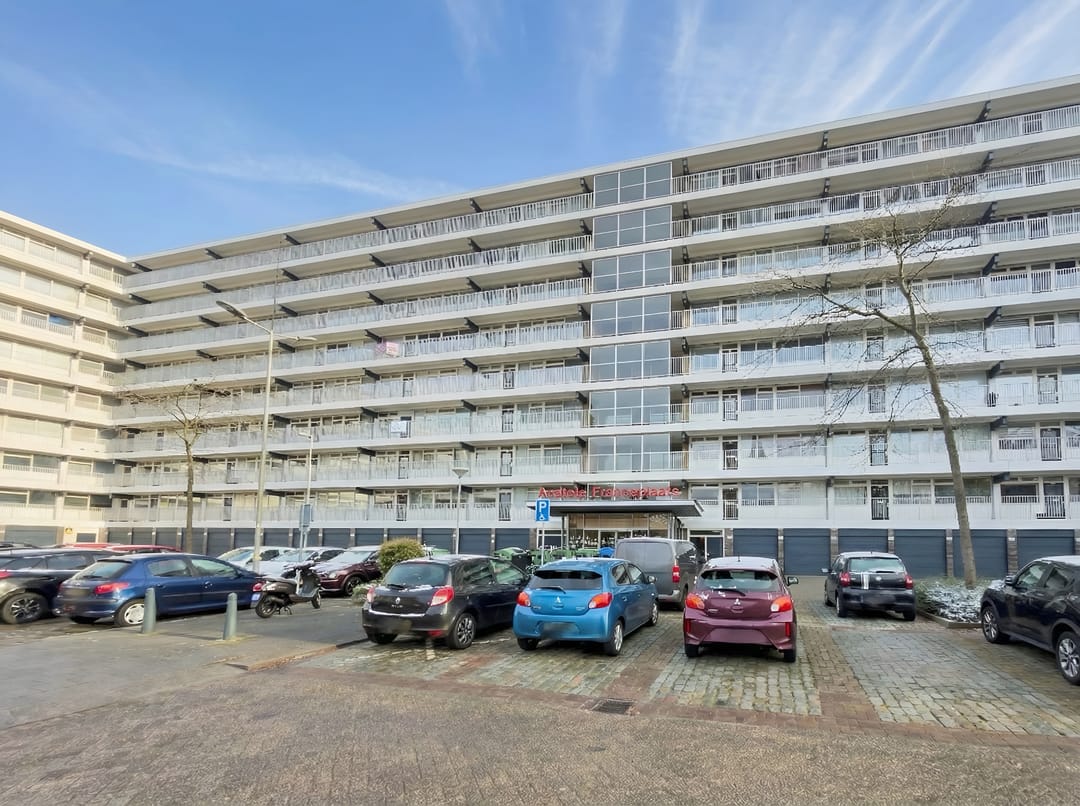 Foto 1 van Anatole Franceplaats 624