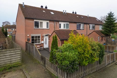 undefined main image