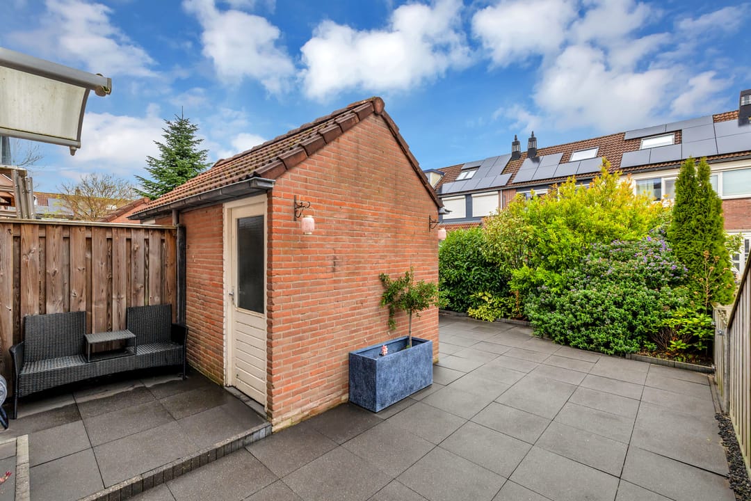 Foto 8 van Alikruik 22