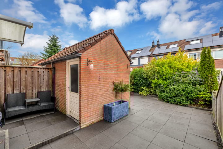 Foto 8 van Alikruik 22