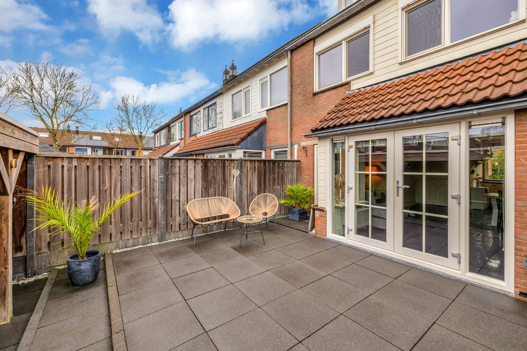 Foto 22 van Alikruik 22