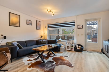 Roerdomp 14 tertiary image