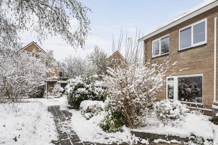 Foto 5 van Potmarge 1