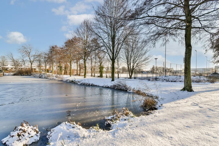 Foto 41 van Damhertstraat 8