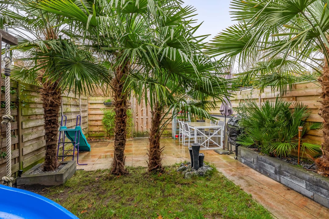 Photo 17 of Palestrinarode 16