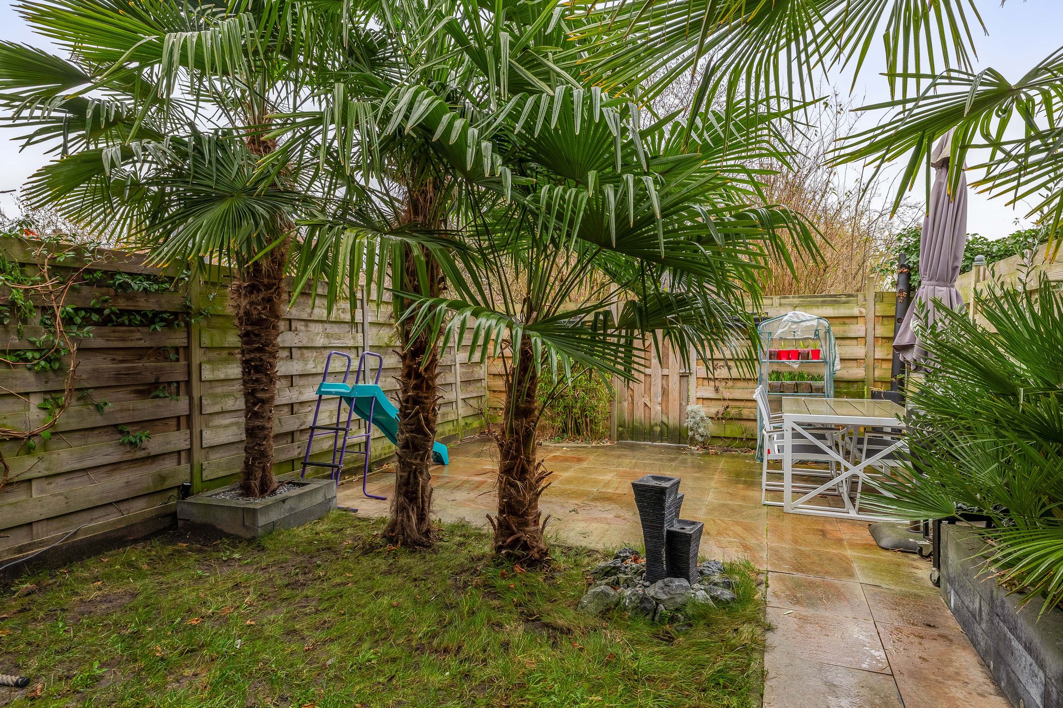 Photo 18 of Palestrinarode 16