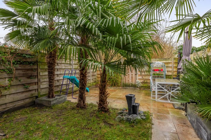 Photo 18 of Palestrinarode 16