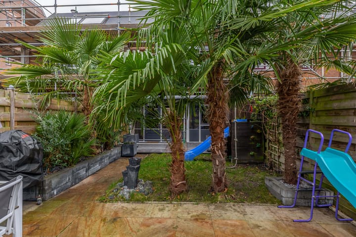 Photo 19 of Palestrinarode 16