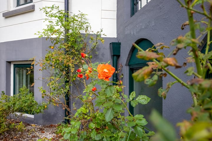 Foto 38 van Nassaupark 4