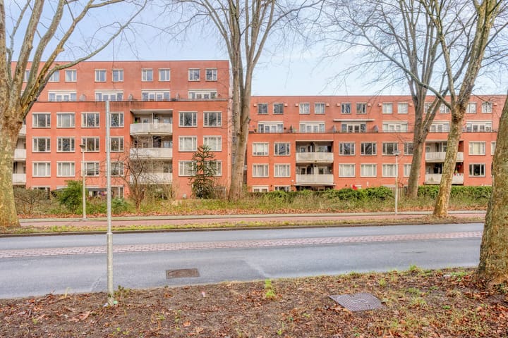 Foto 2 van Suze Groenewegplantsoen 33