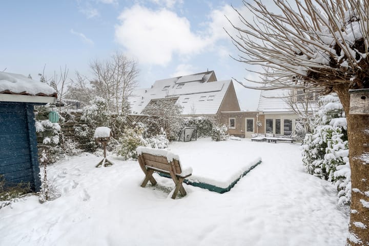 Foto 60 van Ferdinand Bolstraat 3