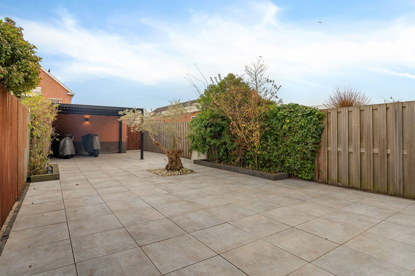 Foto 4 van Tasmanië 182