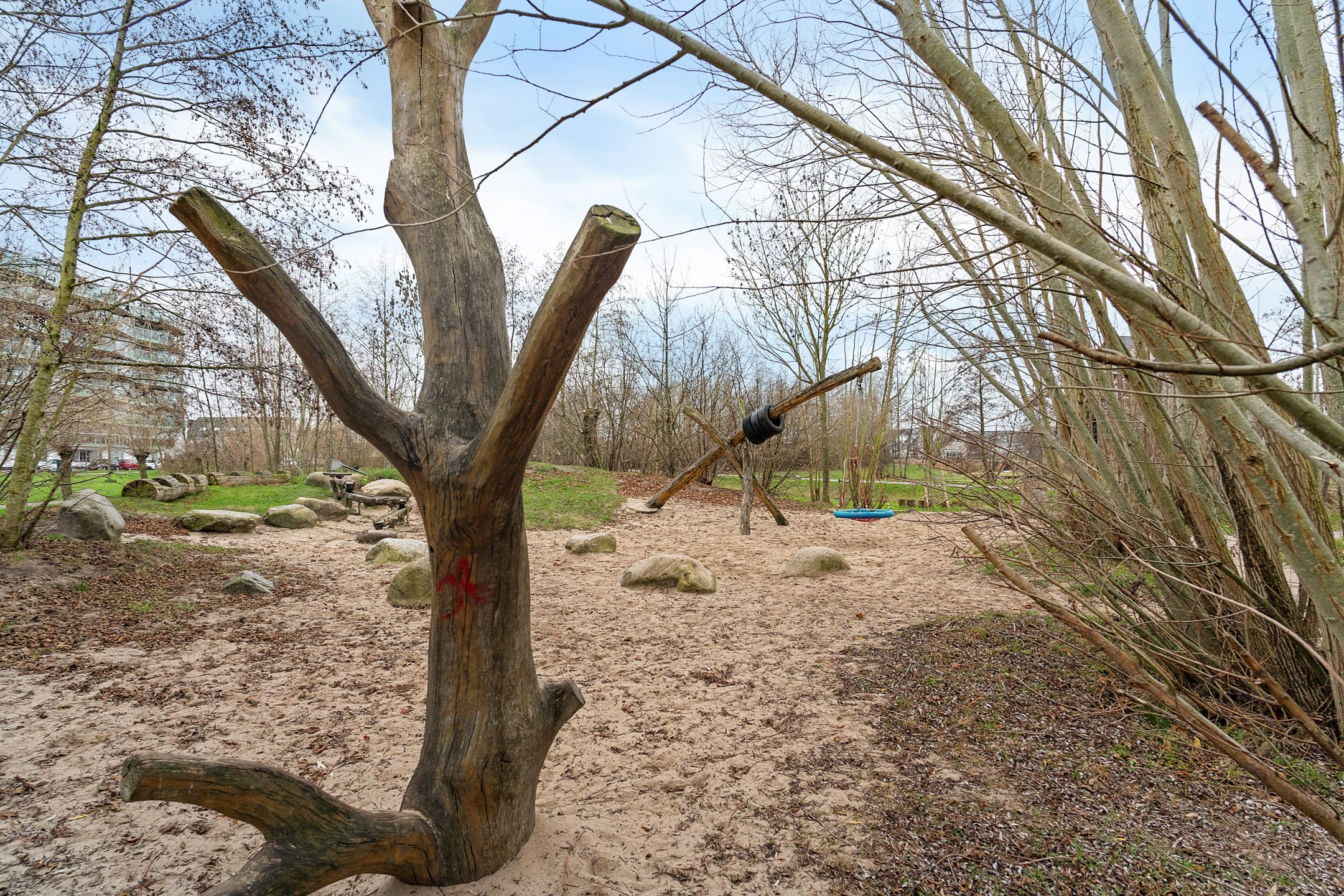 Foto 57 van Tasmanië 182