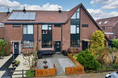 undefined main image