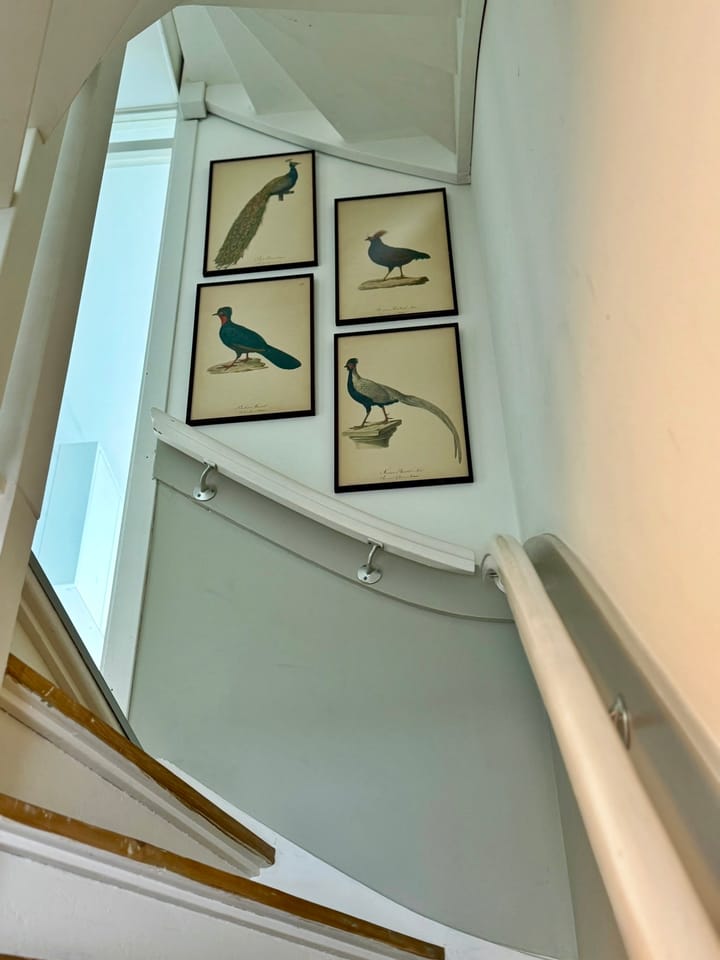 Foto 13 van Reigerstraat 144